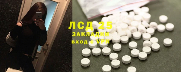 спайс Бородино