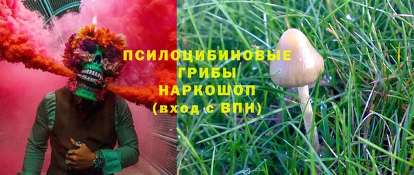 спайс Бородино