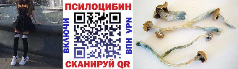 Псилоцибиновые грибы Cubensis  Славянск-на-Кубани 